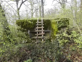Ligne Maginot - CB309 - ZEITERHOLZ EST - (Blockhaus pour canon) - La façade de tir. 