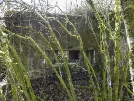 Ligne Maginot - CB313 - RASPICH - (Blockhaus pour canon) - La façade de tir. 