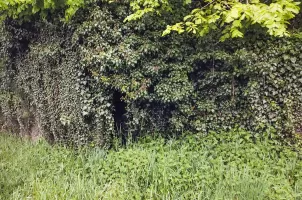 Ligne Maginot - SIERSTHAL 1 - (PC) - La deuxième entrée