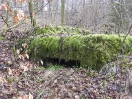 Ligne Maginot - KUHBRUCK OUEST - (Blockhaus pour canon) - L'embrasure pour le canon anti-char.