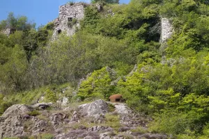 Ligne Maginot - CASTILLON (CN) - EO8 - (Ouvrage d'artillerie) - Bloc 5
Les deux cloches sont surplombées des ruines de l'ancien village de Castillon détruit par un tremblement de terre le 23 février 1887