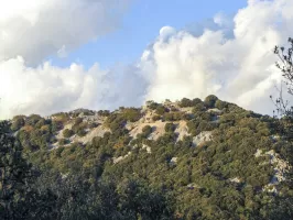 Ligne Maginot - PIC DE GARUCHE - (Observatoire d'artillerie) - Vue d'ensemble du site