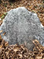 Ligne Maginot - COL D'ANDRION - (Position d'artillerie préparée) - Une stèle dans le secteur