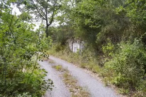 Ligne Maginot - CHAMP DE TIR - (Chambre de coupure) - Route vers l’ouvrage d’infanterie