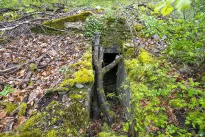 Ligne Maginot - BAMBESCH 2 - (Abri) - 