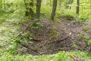 Ligne Maginot - BOIS DE KERFENT 1 (8°CIE II/156° RIF) - (PC de Sous-Quartier) - Les restes d'une batterie peuvent être trouvés à proximité