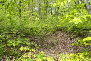 Ligne Maginot - BOIS DE KERFENT 1 (8°CIE II/156° RIF) - (PC de Sous-Quartier) - Les restes d'une batterie peuvent être trouvés à proximité