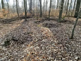 Ligne Maginot - LORENTZERWALD 5 - (Cuve pour arme d'infanterie) - Tranchée avec ses ramifications