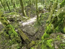Ligne Maginot - LANGWIESERWALD 1 - (Cuve pour arme d'infanterie) - Reste de double poste de tir avec niche à munitions au milieu