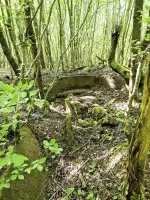 Ligne Maginot - LANGWIESERWALD 2 - (Cuve pour arme d'infanterie) - Poste de tir avec plot central