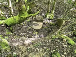 Ligne Maginot - LANGWIESERWALD 2 - (Cuve pour arme d'infanterie) - Poste de tir avec plot central