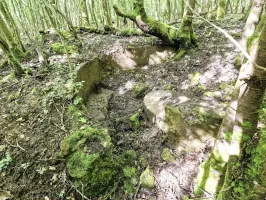 Ligne Maginot - LANGWIESERWALD 2 - (Cuve pour arme d'infanterie) - Vue latérale