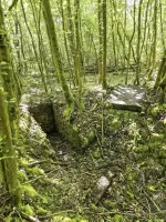 Ligne Maginot - LANGWIESERWALD 3 - (Observatoire indéterminé) - Poste d'observation