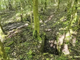 Ligne Maginot - LANGWIESERWALD 3 - (Observatoire indéterminé) - Poste d'observation