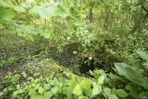 Ligne Maginot - BT40 - (Cuve pour arme d'infanterie) - 