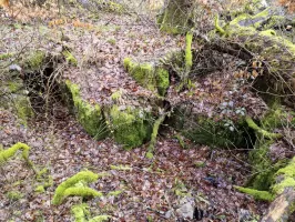 Ligne Maginot - ALTWIESERBACH 2 - (Cuve pour arme d'infanterie) - Vue d'ensemble de l'ouvrage