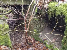 Ligne Maginot - ALTWIESERBACH 2 - (Cuve pour arme d'infanterie) - L'abri et le passage partiellement comblés