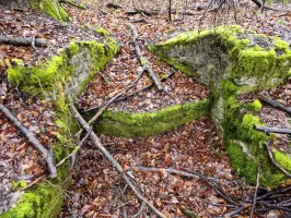 Ligne Maginot - ALTWIESERBACH 1 - (Cuve pour arme d'infanterie) - Le poste de tir