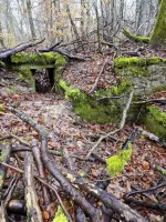 Ligne Maginot - ALTWIESERBACH 1 - (Cuve pour arme d'infanterie) - L'accès abrité