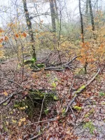 Ligne Maginot - ALTWIESERBACH 1 - (Cuve pour arme d'infanterie) - L'entrée de l'ouvrage côté opposé