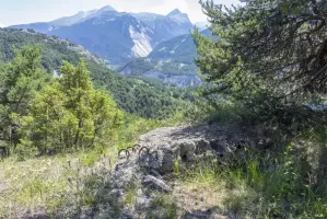 Ligne Maginot - CHARLES-ALBERT SUD 1 - (Blockhaus pour arme infanterie) - Une partie du muraille 