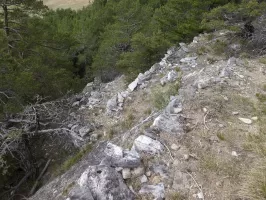 Ligne Maginot - COTE 1408 OUEST - (Abri) - Chemin d'accès 