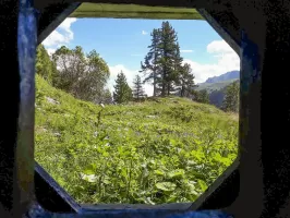 Ligne Maginot - LAVOIR - (Ouvrage d'artillerie) - Entrée des hommes
Vue depuis le créneau FM frontal