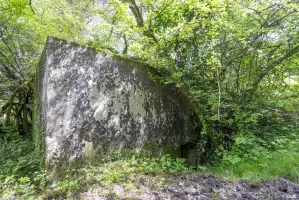 Ligne Maginot - CB139 - NONNENBERG NORD - (Blockhaus pour arme infanterie) - L'entrée