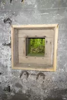 Ligne Maginot - CB441 - (Blockhaus pour arme infanterie) - Le créneau de défense des arrières
Le bois du coffrage est toujours présent