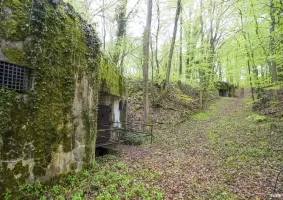 Ligne Maginot - BOIS D'ESCHERANGE - X3 (QUARTIER KANFEN - I/169°RIF) - (Abri) - Vue des deux coffres d'entrée de l'abri