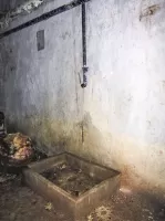 Ligne Maginot - LAVOIR - (Ouvrage d'artillerie) - Point d'eau à proximité des latrines