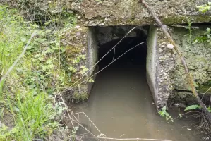 Ligne Maginot - BAN SAINT JEAN - (Abri) - Entrée Est