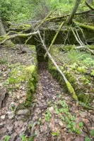 Ligne Maginot - BOIS DE MEDERCHEN (I/160° RIF) - (PC de Quartier) - 