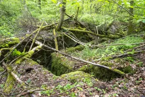 Ligne Maginot - BOIS DE MEDERCHEN (I/160° RIF) - (PC de Quartier) - Un des trois escaliers