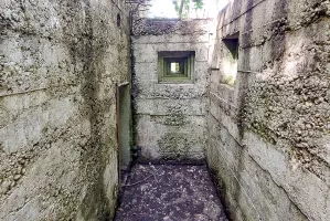 Ligne Maginot - CB260 - STRESSLING 1 - (Blockhaus pour arme infanterie) - 