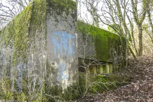 Ligne Maginot - CB317 - BROMMELSBERG NORD - (Blockhaus pour canon) - 
