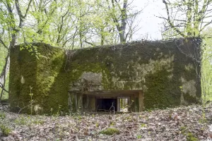 Ligne Maginot - CB303 - KANFENER BUSCH 3 - (Blockhaus pour canon) - 