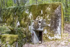 Ligne Maginot - CB303 - KANFENER BUSCH 3 - (Blockhaus pour canon) - 