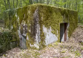 Ligne Maginot - CB303 - KANFENER BUSCH 3 - (Blockhaus pour canon) - 