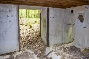 Ligne Maginot - CB303 - KANFENER BUSCH 3 - (Blockhaus pour canon) - 