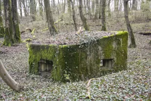 Ligne Maginot - CBO2 - (Blockhaus pour canon) - 