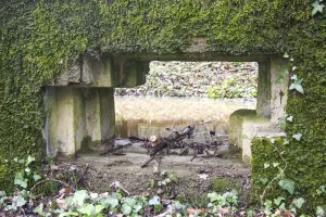 Ligne Maginot - CBO2 - (Blockhaus pour canon) - Créneau principal