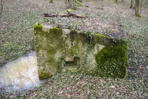 Ligne Maginot - CBO2 - (Blockhaus pour canon) - 