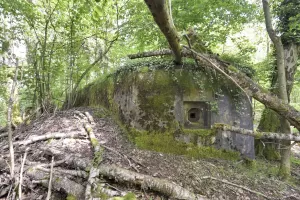 Ligne Maginot - BIBLISHEIM 2 - (Blockhaus pour arme infanterie) - 