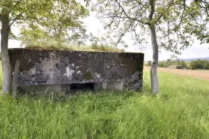 Ligne Maginot - HECKENMUEHLE EST - (Blockhaus pour canon) - 