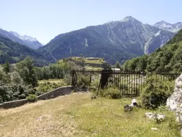 Ligne Maginot - REPLATON REDOUTE - (Blockhaus pour arme infanterie) - Le bastionnet et la grille défensive au saillant IV