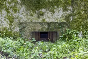 Ligne Maginot - CB234 - RIPPERT 2 - (Blockhaus pour arme infanterie) - Vue rapprochée du créneau mitrailleuse