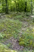 Ligne Maginot - CB234 - RIPPERT 2 - (Blockhaus pour arme infanterie) - Reste des tranchées menant au blockhaus