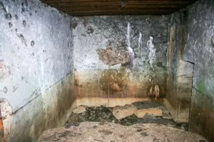 Ligne Maginot - CB213 - BATZEN - (Blockhaus pour arme infanterie) - 