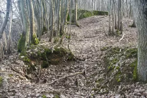 Ligne Maginot - CB298 - KUHDRECK 4 - (Blockhaus pour arme infanterie) - Restes de tranchées à proximité du bloc (visible à l'arrière-plan)